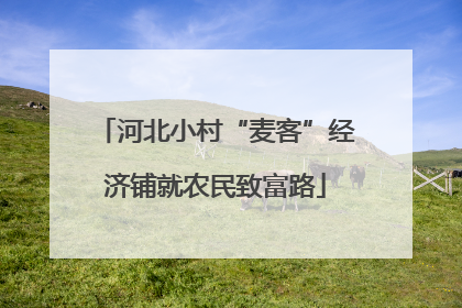 河北小村“麦客”经济铺就农民致富路