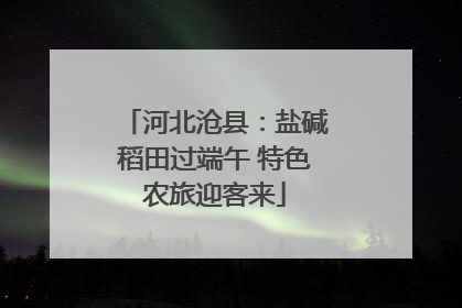 河北沧县：盐碱稻田过端午 特色农旅迎客来
