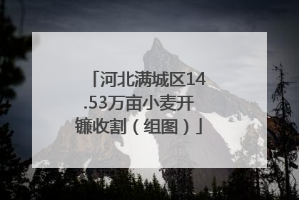 河北满城区14.53万亩小麦开镰收割（组图）