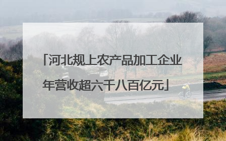 河北规上农产品加工企业年营收超六千八百亿元
