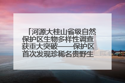 河源大桂山省级自然保护区生物多样性调查获重大突破——保护区首次发现珍稀名贵野生干巴菌与钝尾两头蛇