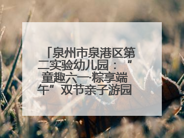 泉州市泉港区第二实验幼儿园：“童趣六一·粽享端午”双节亲子游园会欢乐开启