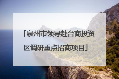 泉州市领导赴台商投资区调研重点招商项目