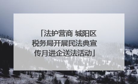 法护营商 城阳区税务局开展民法典宣传月进企送法活动