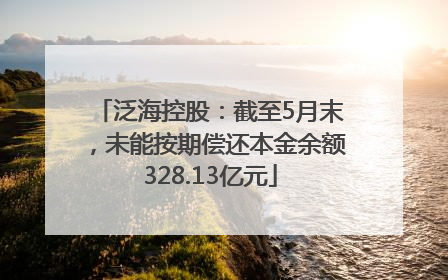 泛海控股：截至5月末，未能按期偿还本金余额328.13亿元