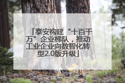 泰安构建“十百千万”企业梯队，推动工业企业向数智化转型2.0版升级