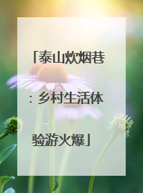泰山炊烟巷：乡村生活体验游火爆