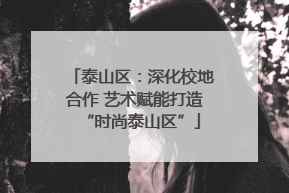 泰山区：深化校地合作 艺术赋能打造“时尚泰山区”
