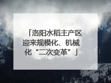 洛阳水稻主产区迎来规模化、机械化“二次变革”