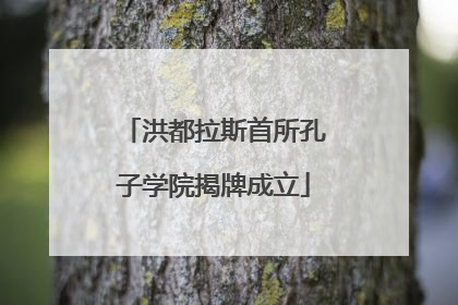 洪都拉斯首所孔子学院揭牌成立