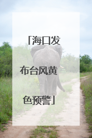 海口发布台风黄色预警