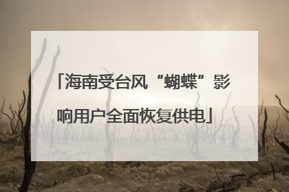 海南受台风“蝴蝶”影响用户全面恢复供电