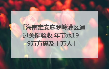 海南定安麻罗岭灌区通过关键验收 年节水199万方惠及十万人