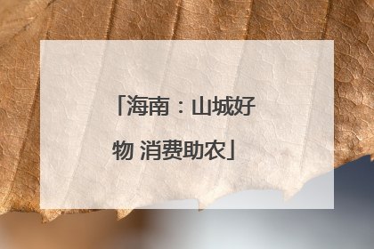 海南：山城好物 消费助农