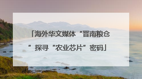海外华文媒体“晋南粮仓”探寻“农业芯片”密码
