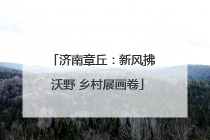 济南章丘：新风拂沃野 乡村展画卷