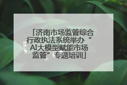 济南市场监管综合行政执法系统举办“AI大模型赋能市场监管”专题培训