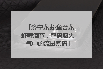 济宁龙贵·鱼台龙虾啤酒节，解码烟火气中的流量密码