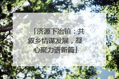 济源下冶镇：共叙乡情谋发展，凝心聚力谱新篇