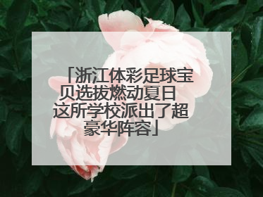 浙江体彩足球宝贝选拔燃动夏日 这所学校派出了超豪华阵容