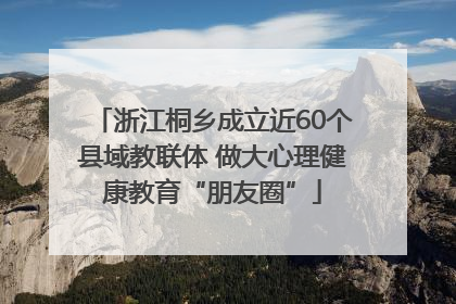 浙江桐乡成立近60个县域教联体 做大心理健康教育“朋友圈”