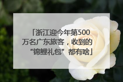浙江迎今年第500万名广东旅客，收到的“锦鲤礼包”都有啥