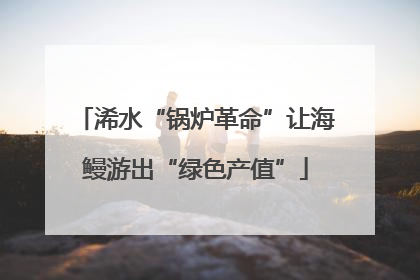 浠水“锅炉革命”让海鳗游出“绿色产值”