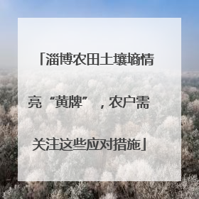 淄博农田土壤墒情亮“黄牌”，农户需关注这些应对措施