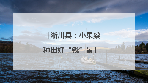 淅川县：小果桑种出好“钱”景