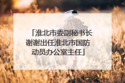 淮北市委副秘书长谢谢出任淮北市国防动员办公室主任