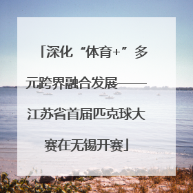 深化“体育+”多元跨界融合发展——江苏省首届匹克球大赛在无锡开赛