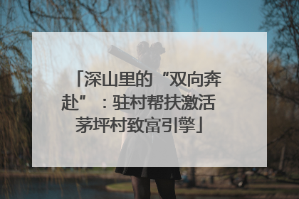 深山里的“双向奔赴”：驻村帮扶激活茅坪村致富引擎