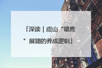 深读｜虞山“雄鹰”展翅的养成逻辑