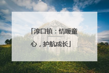 淳口镇：情暖童心，护航成长