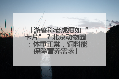 游客称老虎瘦如“卡片”？北京动物园：体重正常，饲料能保障营养需求