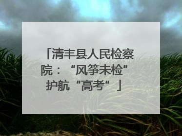 清丰县人民检察院：“风筝未检”护航“高考”
