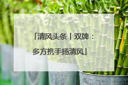 清风头条丨双牌：多方携手扬清风