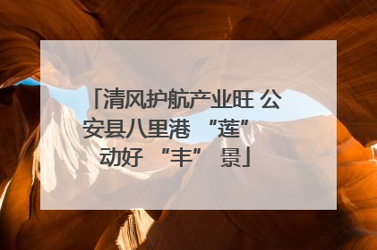 清风护航产业旺 公安县八里港 “莲” 动好 “丰” 景