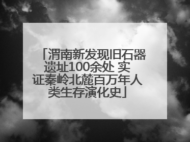 渭南新发现旧石器遗址100余处 实证秦岭北麓百万年人类生存演化史