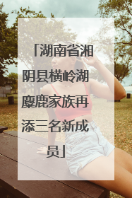 湖南省湘阴县横岭湖麋鹿家族再添三名新成员