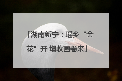 湖南新宁：瑶乡“金花”开 增收画卷来