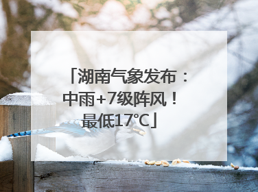 湖南气象发布：中雨+7级阵风！最低17℃