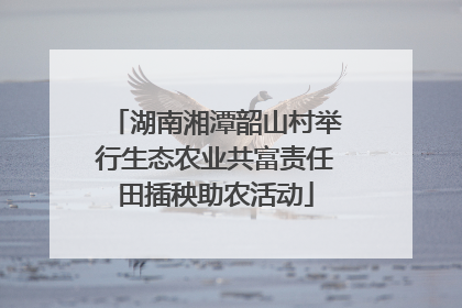 湖南湘潭韶山村举行生态农业共富责任田插秧助农活动