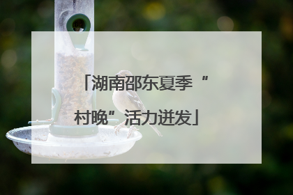 湖南邵东夏季“村晚”活力迸发