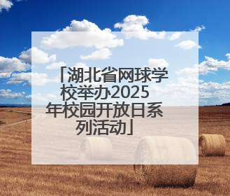 湖北省网球学校举办2025年校园开放日系列活动