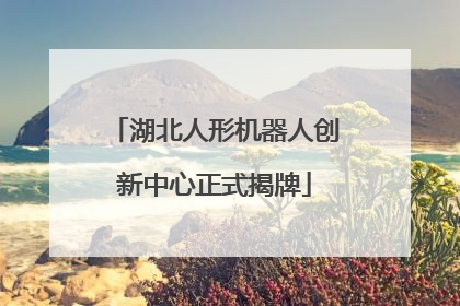 湖北人形机器人创新中心正式揭牌