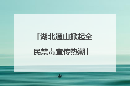 湖北通山掀起全民禁毒宣传热潮