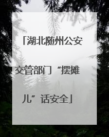 湖北随州公安交管部门“摆摊儿”话安全