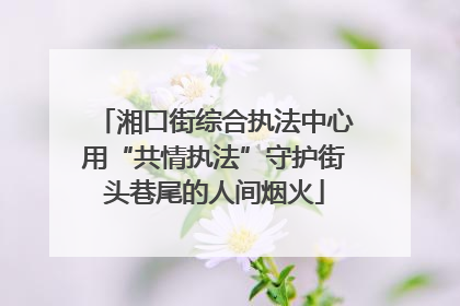 湘口街综合执法中心用“共情执法”守护街头巷尾的人间烟火