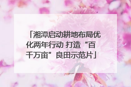 湘潭启动耕地布局优化两年行动 打造“百千万亩”良田示范片